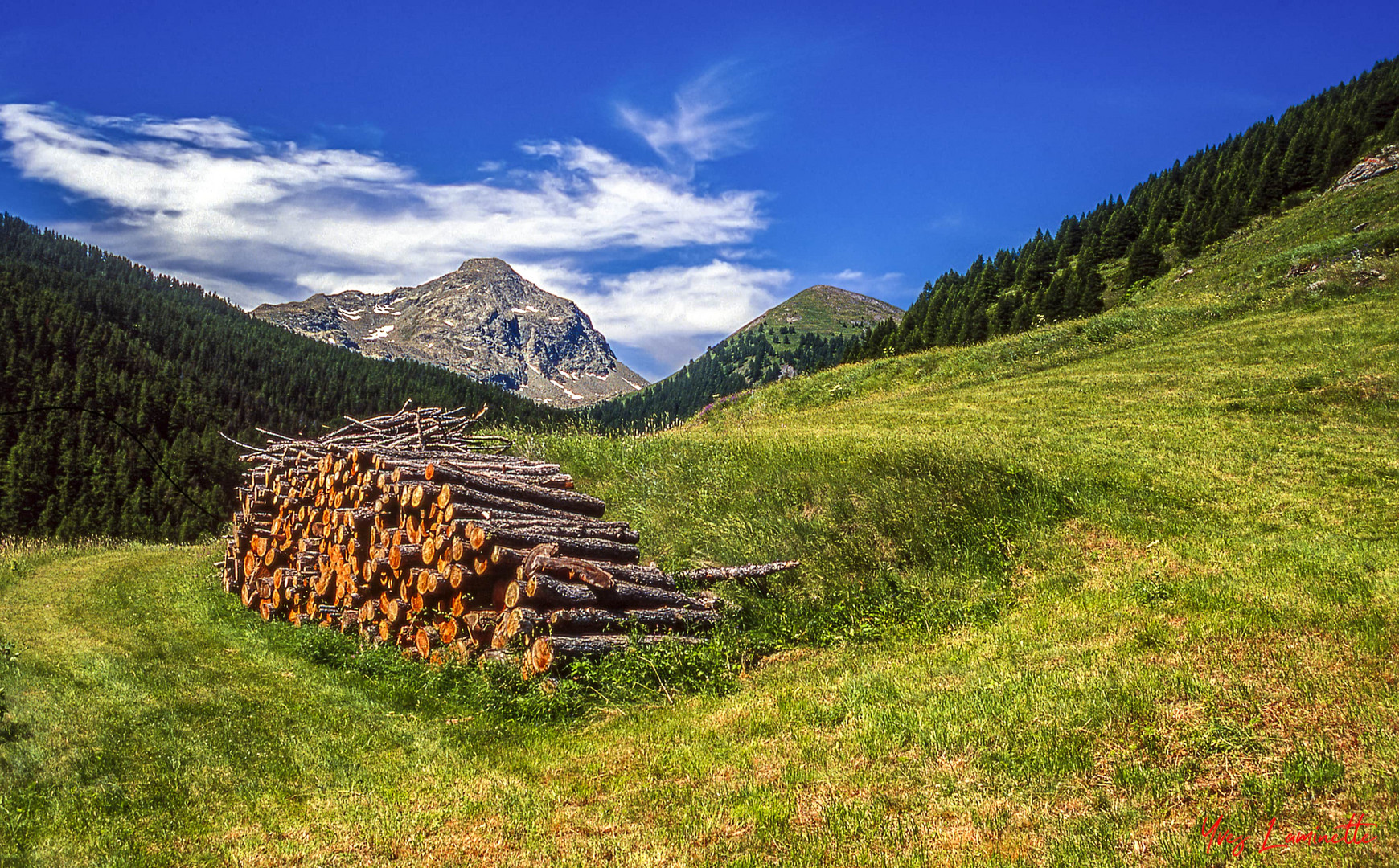 Tas de bois 