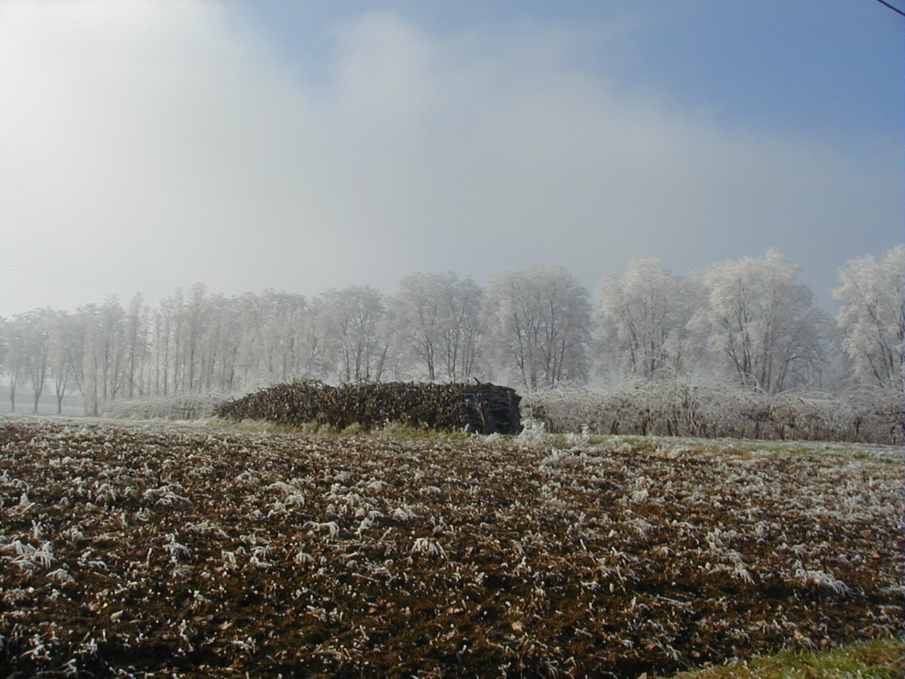 tas de bois en hiver