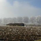 tas de bois en hiver