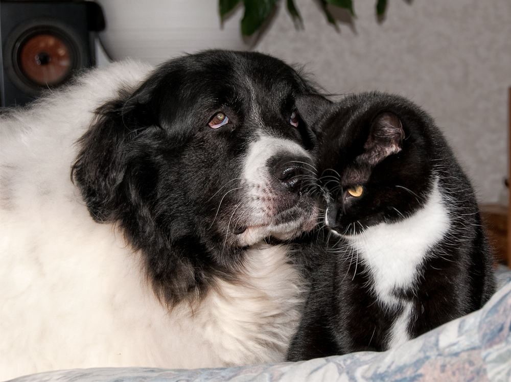 Tascha und Quincey - Echte Freundschaft