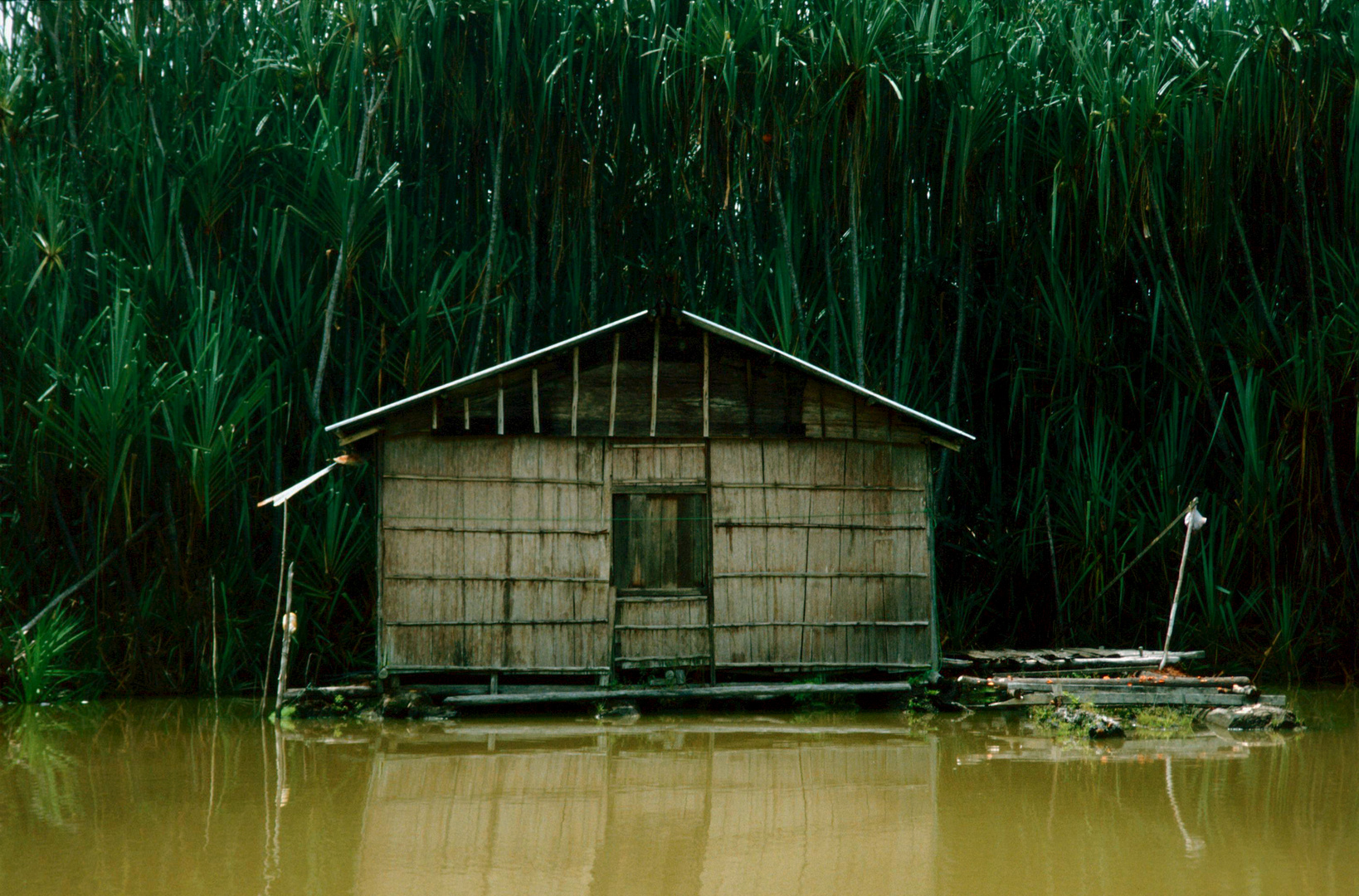 Tasik Chini - November 1988