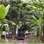 Tasik Madu  V  -  Museumsbahn