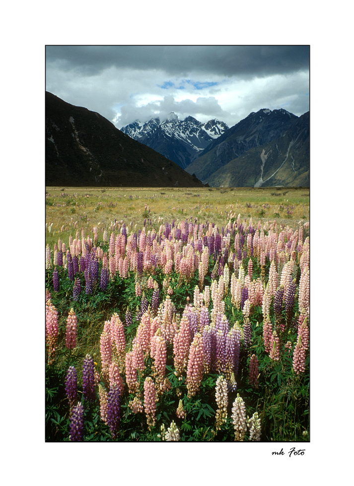 Tasman River Valley