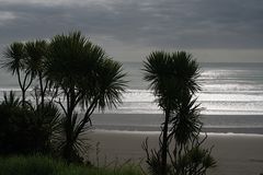 Tasman Sea