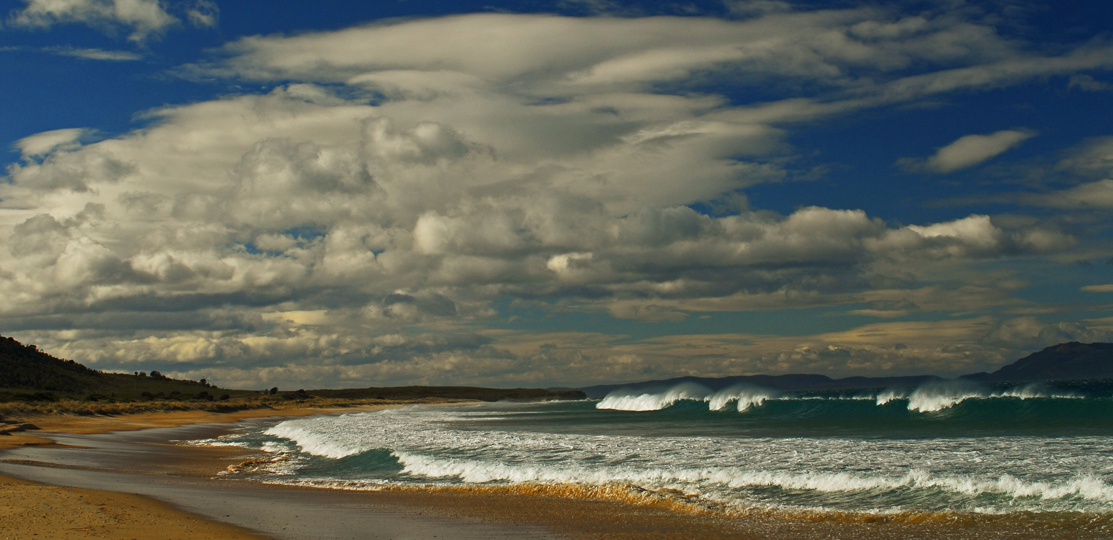 tasman sea