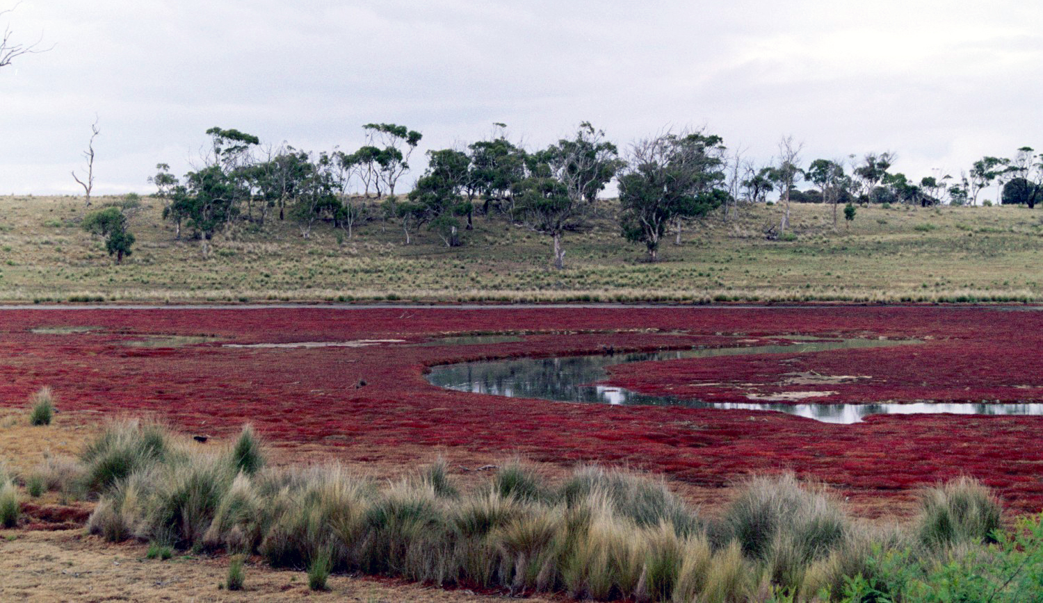 Tasmania