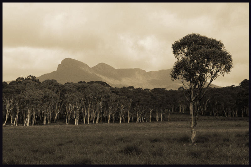 Tasmania