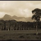 Tasmania