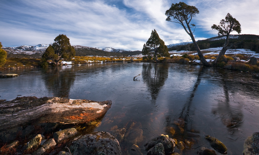 Tasmania