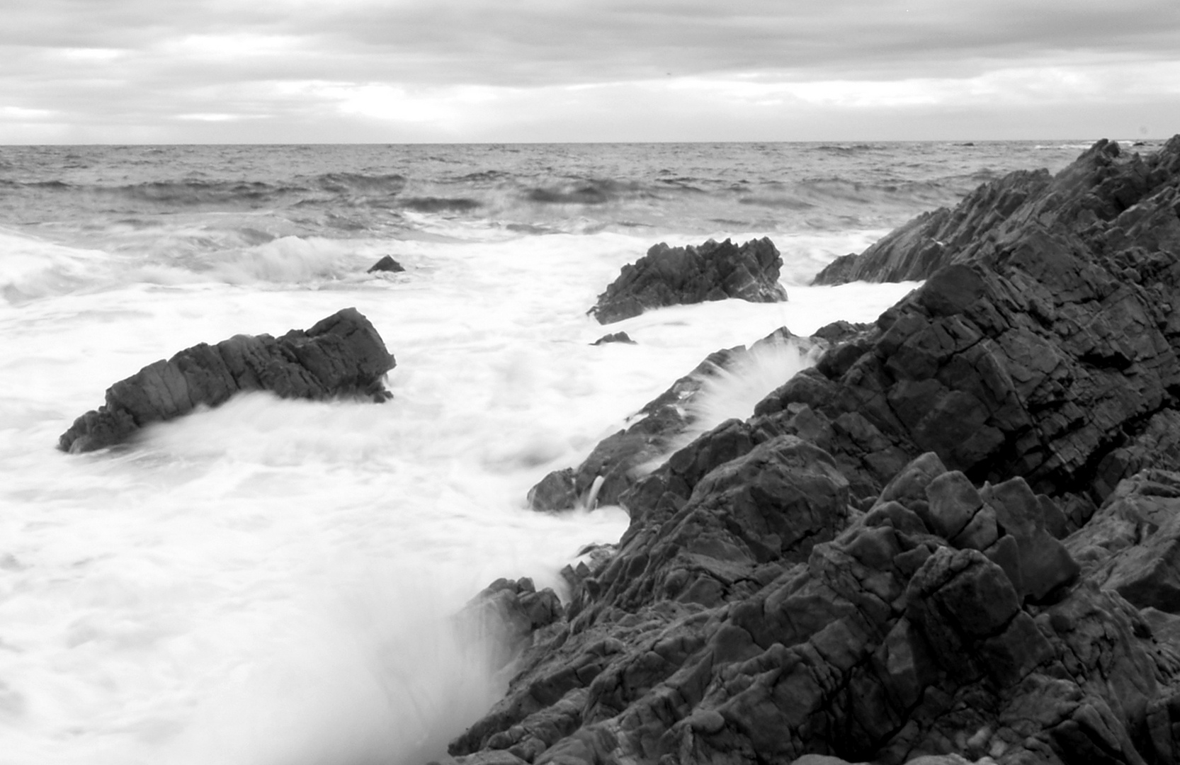 Tasmanian Winter