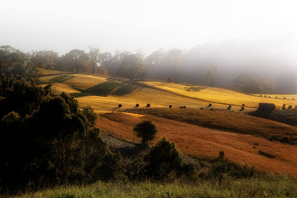 Tasmanien