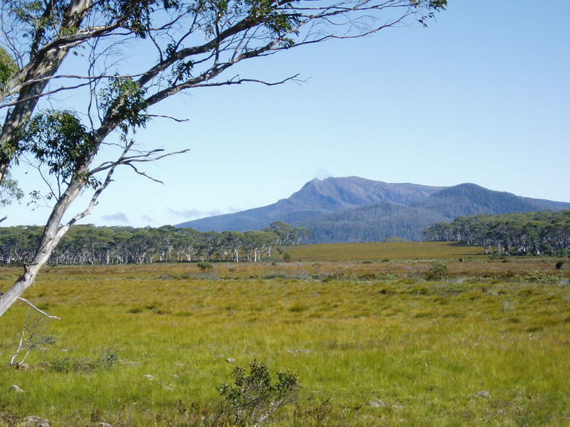 Tasmanien