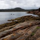 Tasmanien - Freycinet National Park