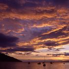 Tasmanien Freycinet National Park Dez. 2003