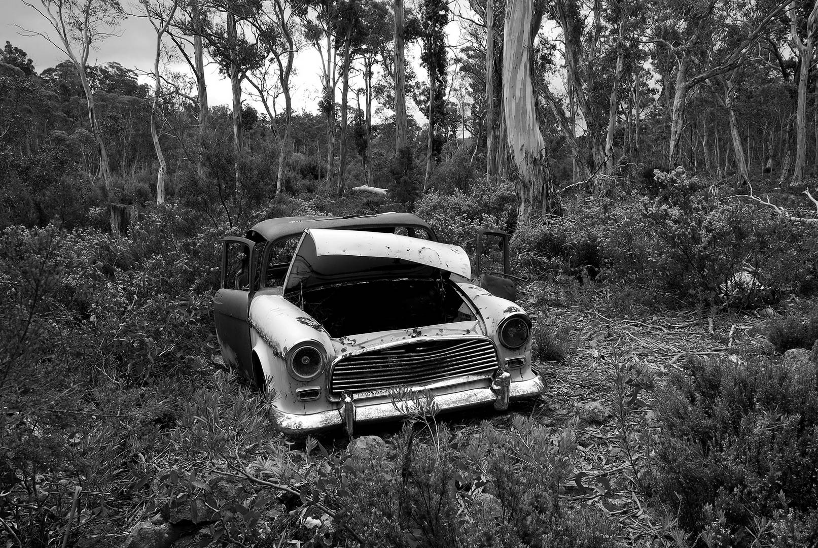 Tasmanien - morbider Charme abseits der Landstraße -