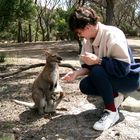 Tasmanische Begegnung