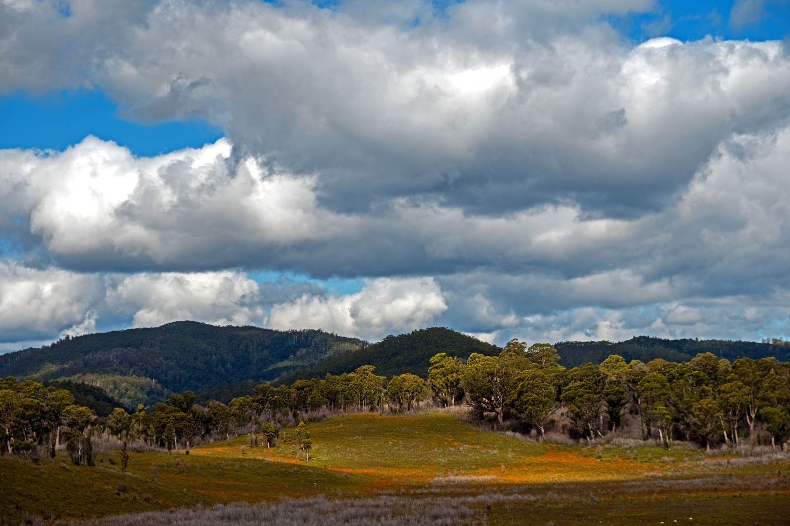 tasmanische Landschaft