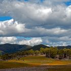 tasmanische Landschaft