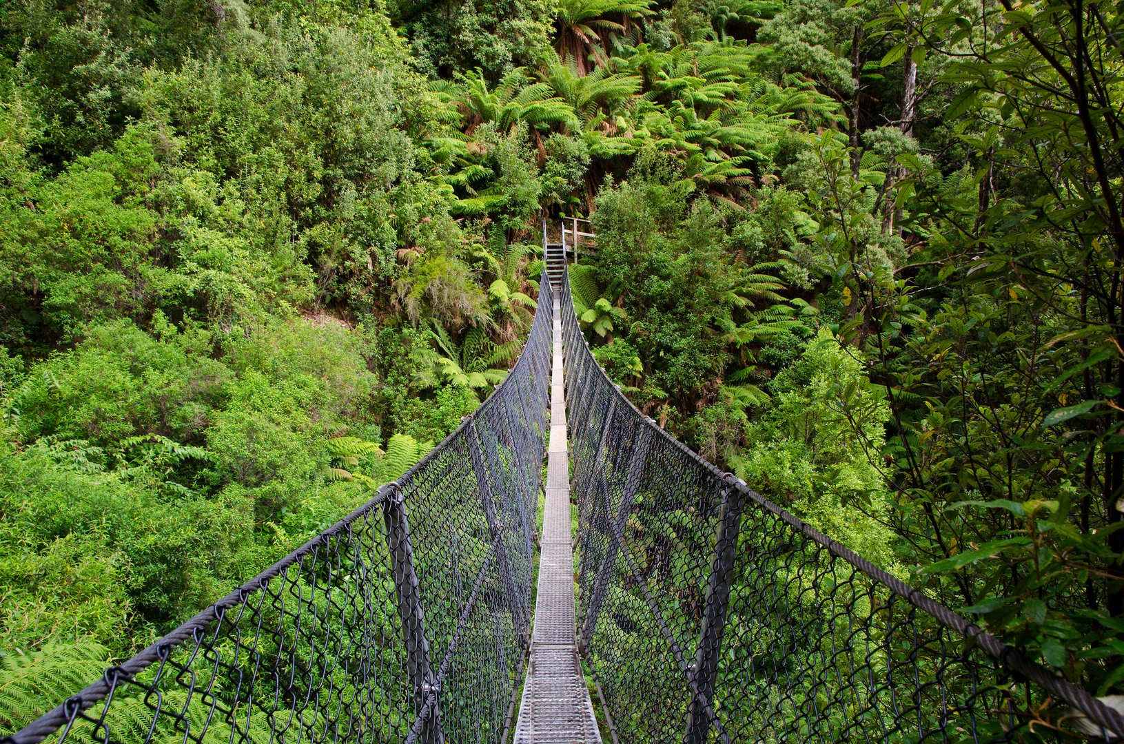 Tasmanische Stahlseil-Brücke