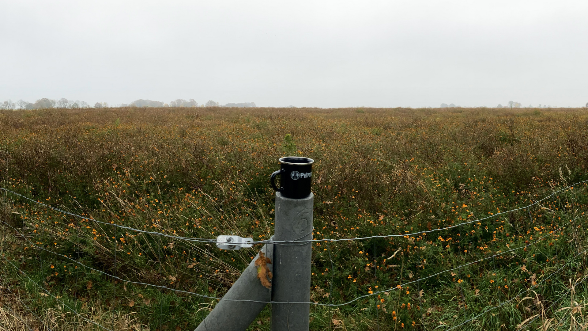 Tasse vor Feld geparkt.