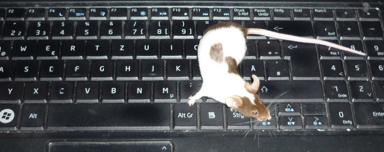 Tastatur und Maus