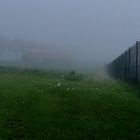 Tasthilfe im Nebel
