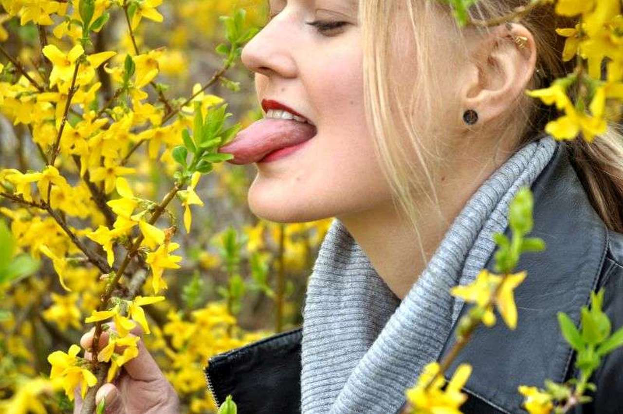 Tasting flowers 