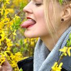 Tasting flowers 