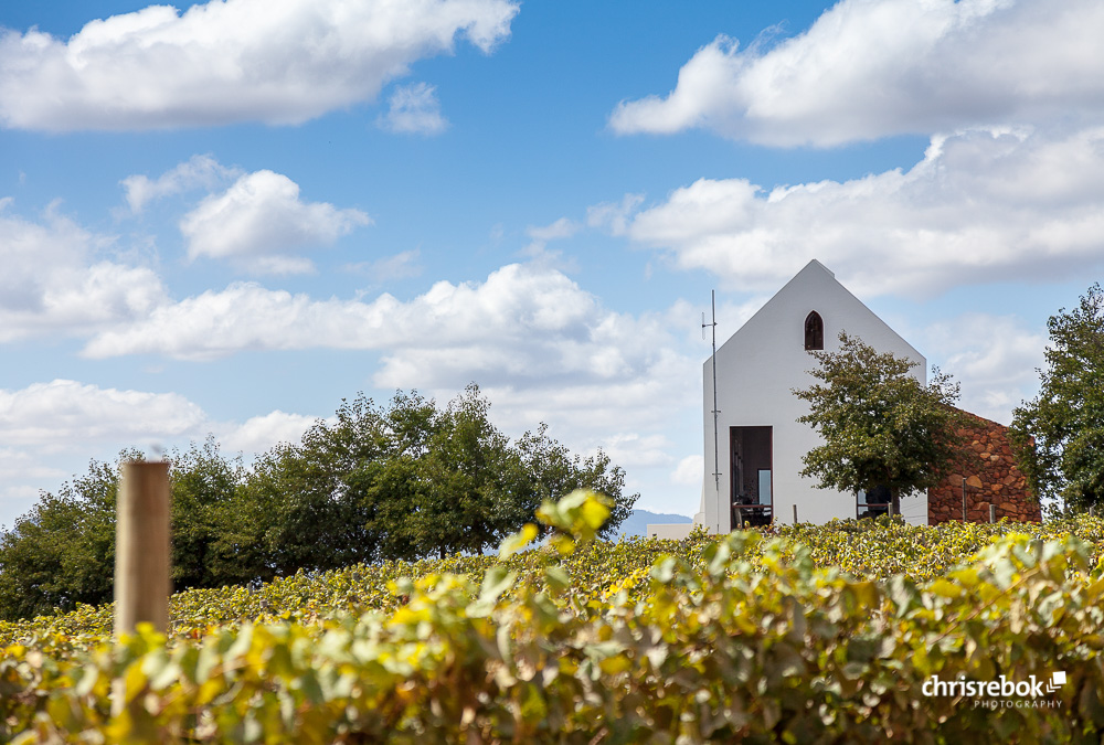 Tasting Room des Ataraxia Wine Estate, Hemel en Aarde Valley