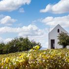 Tasting Room des Ataraxia Wine Estate, Hemel en Aarde Valley