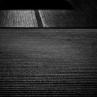 tatami.zen.art