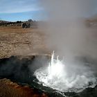 Tatio Geysire