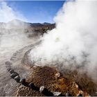 Tatio - Geysire ...