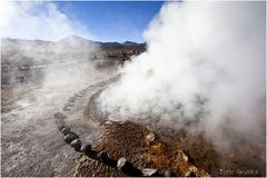 Tatio - Geysire ...