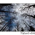 Tatort-Eifel