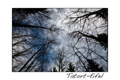 Tatort-Eifel