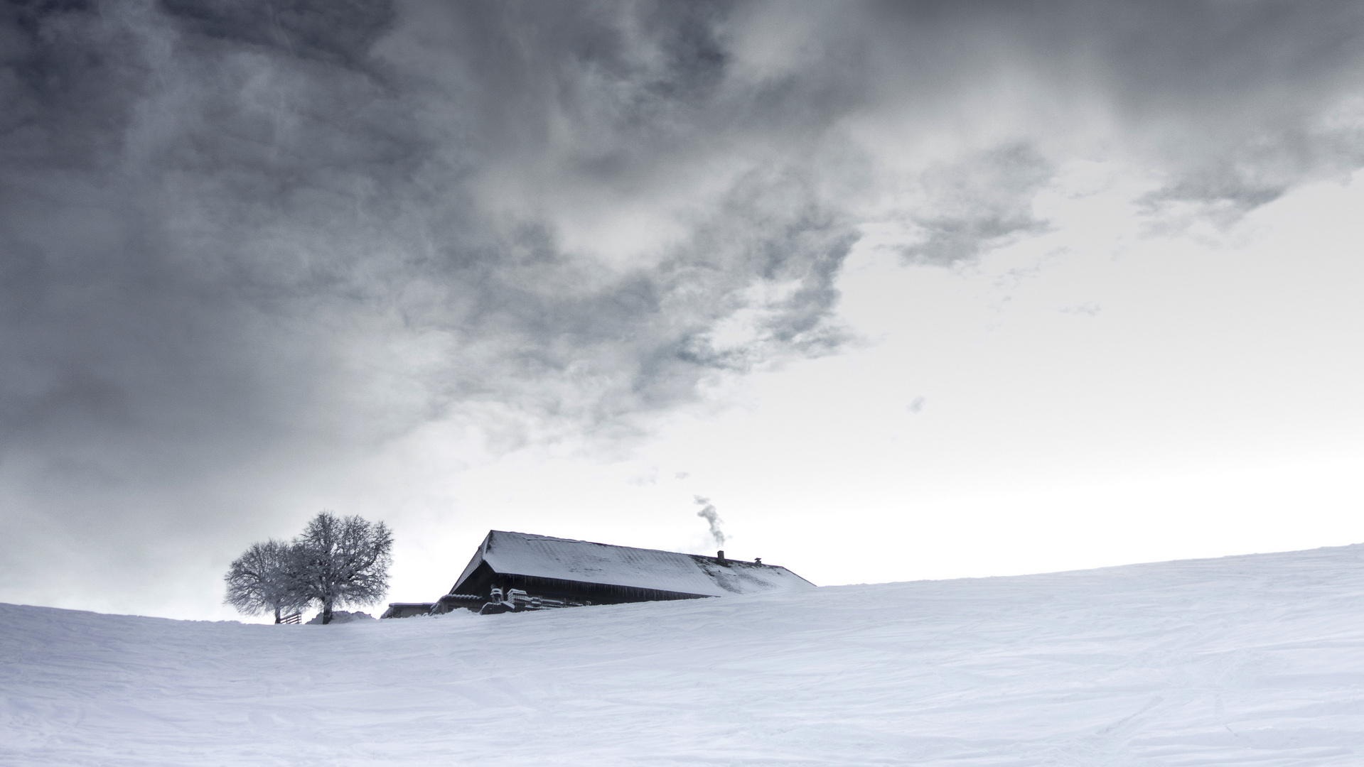 Tatort Schwarzwald