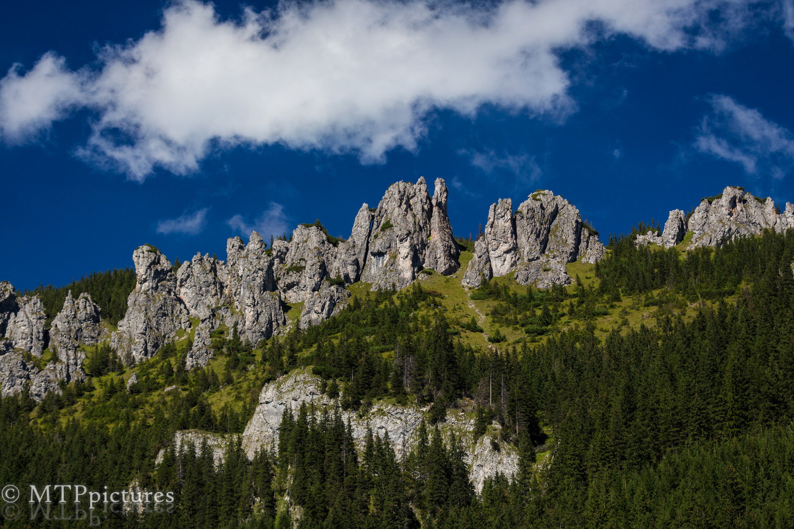 Tatra