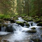 Tatra brook.