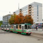 Tatra-Herbst in Magdeburg 4