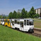 Tatra im grünen