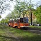 Tatra im Grünen