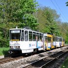 Tatra im grünen (II)