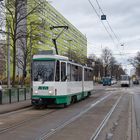 Tatra in Magdeburg