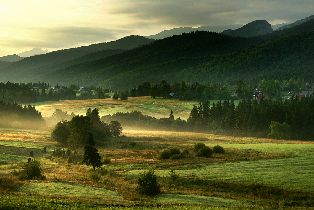 Tatra morning II