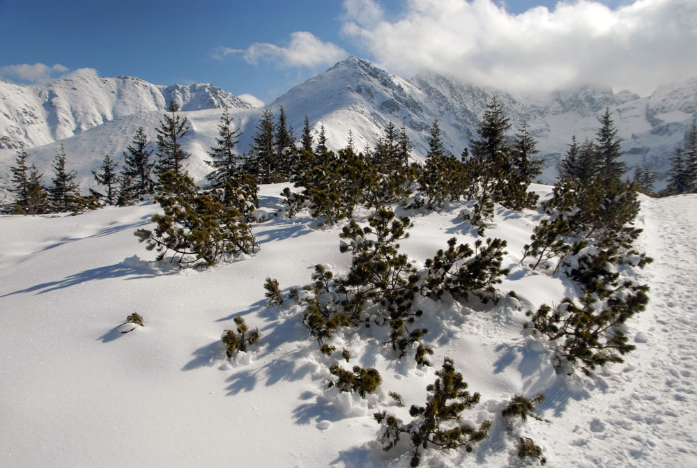 Tatra mountains