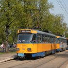 Tatra Paradies Leipzig 2.