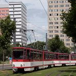 Tatra & Platte