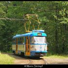 Tatra T3 in Ostrava (CZ)