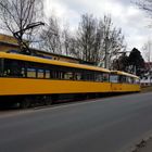 Tatra T4D MT